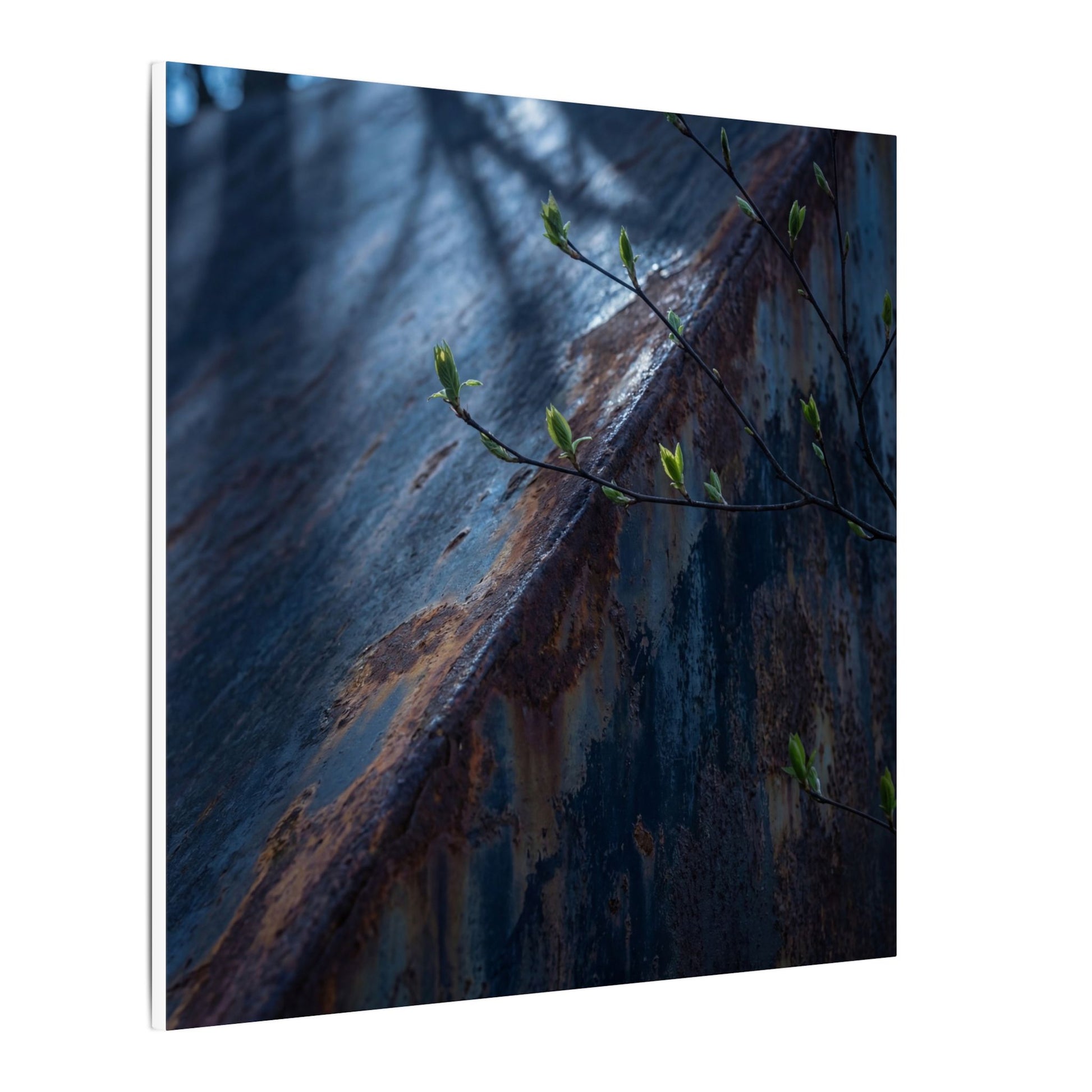 Rust Patina Canvas Art | Spring Dark Japandi Shadow Zen Art Art Print
