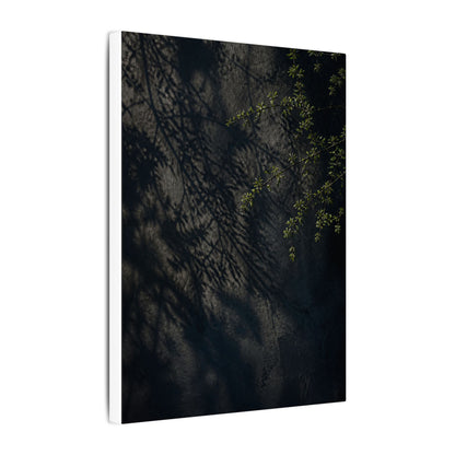 Overcast Shadow Play Canvas Art - Dark Japandi Seijaku