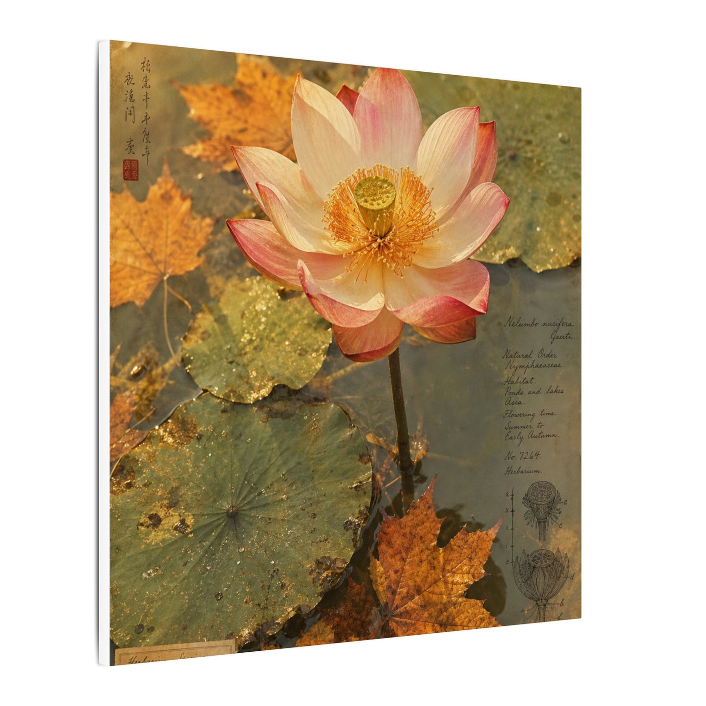 Autumn Lotus Flower Herbarium Canvas Art | Rustic Decor