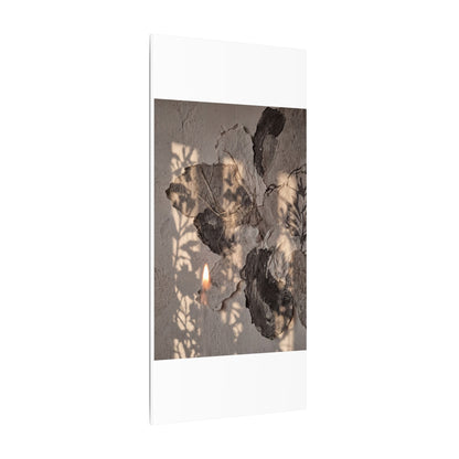 Shadow Play Summer Canvas Art | Japandi Elegant Design