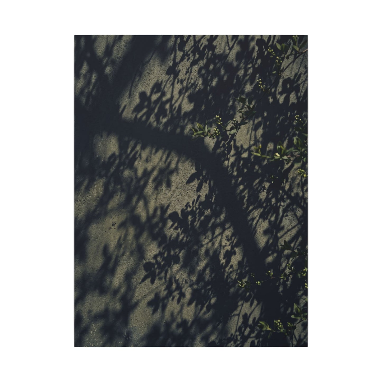 Atmospheric Shadow Play Canvas Art - Moody Minimal Dark Japandi