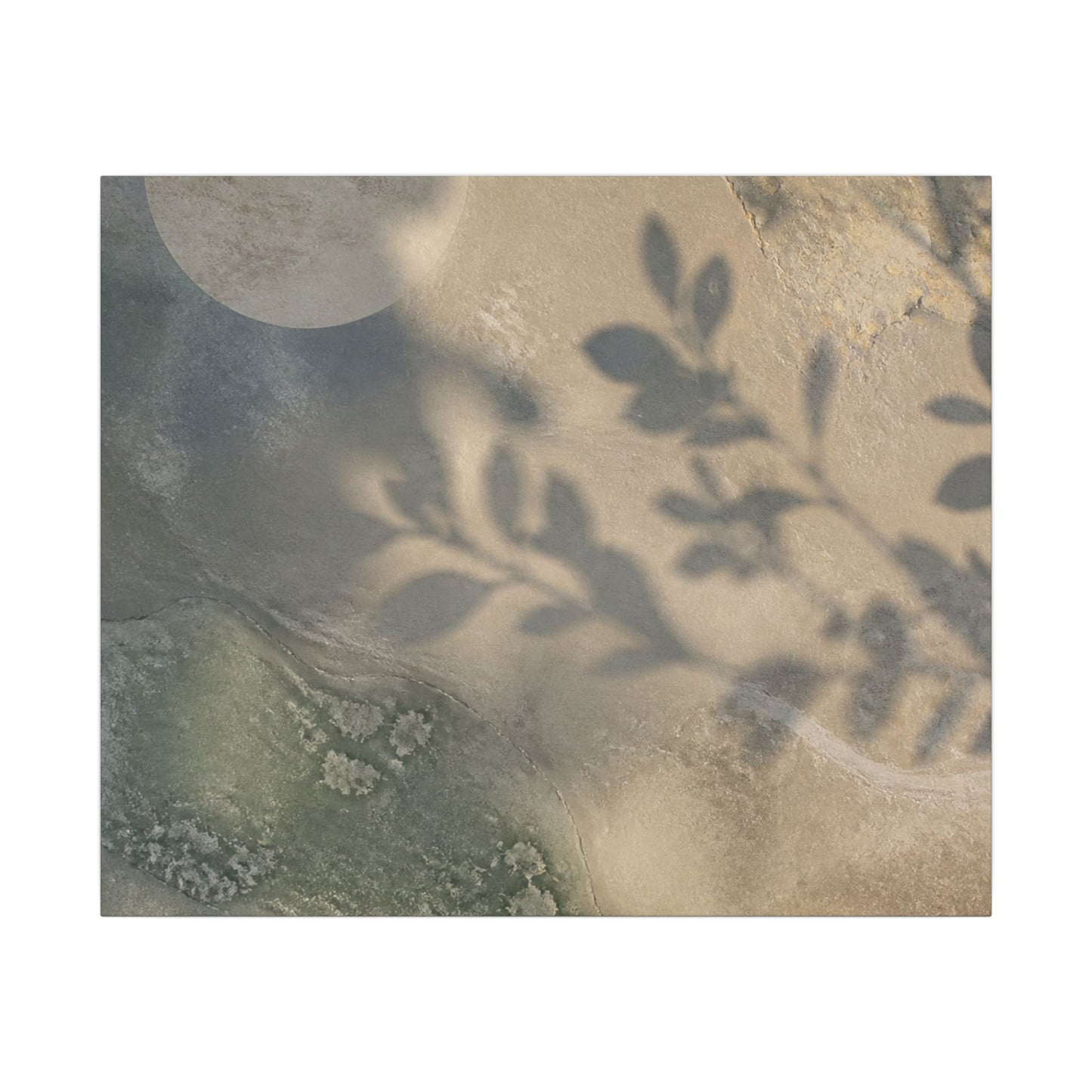 Japandi Shadow Play in Moonlight | Texture Canvas Art