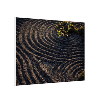 Spring Rock Garden Shadow Zen Canvas Art | Atmospheric Decor