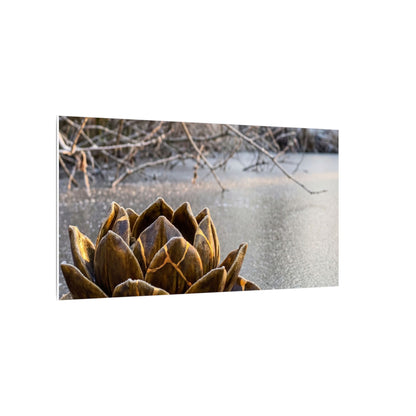 Lotus Flower Gold Repair Canvas Art | Beautiful Kintsugi Art