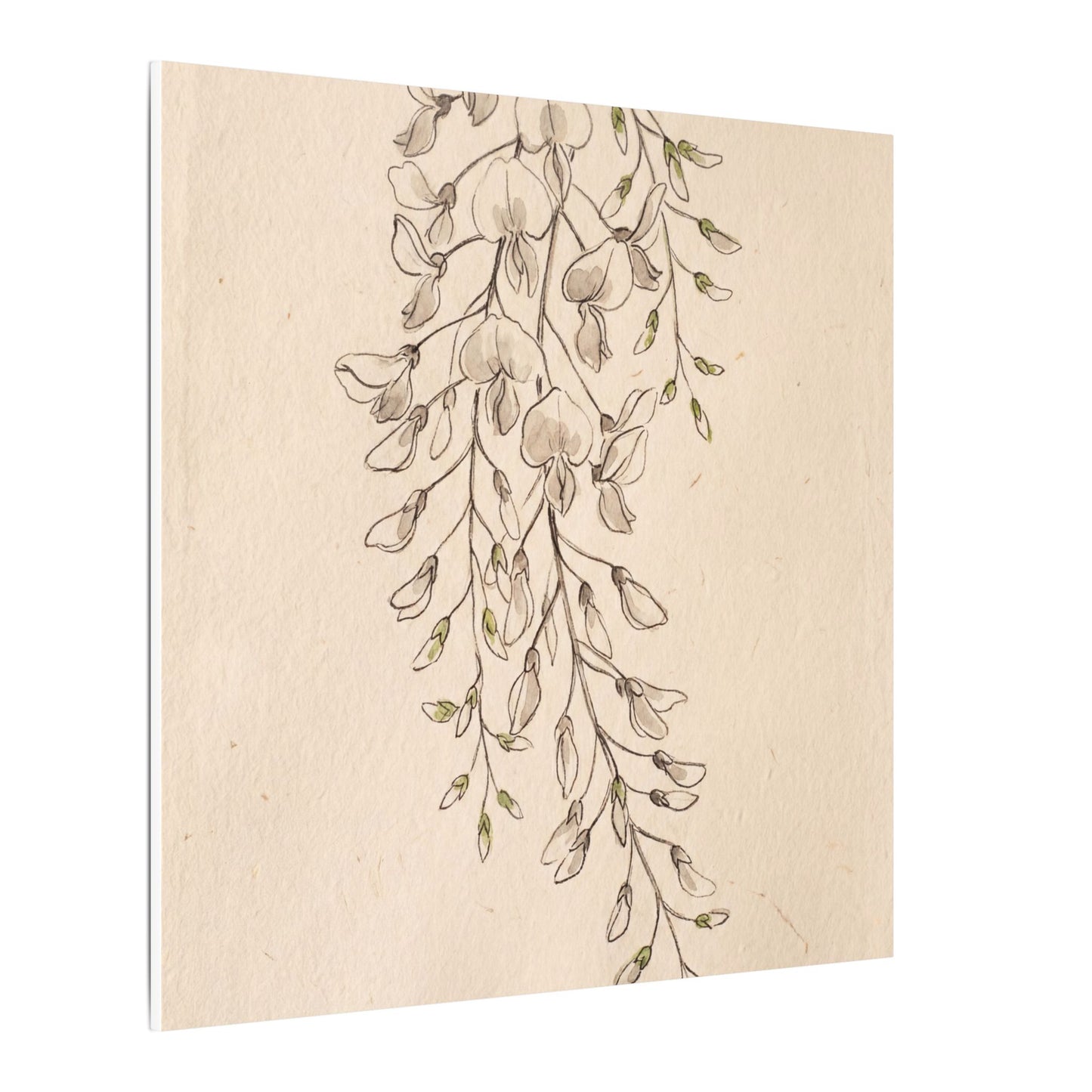 Japandi Wisteria in Golden Hour | Minimal Line Canvas Art