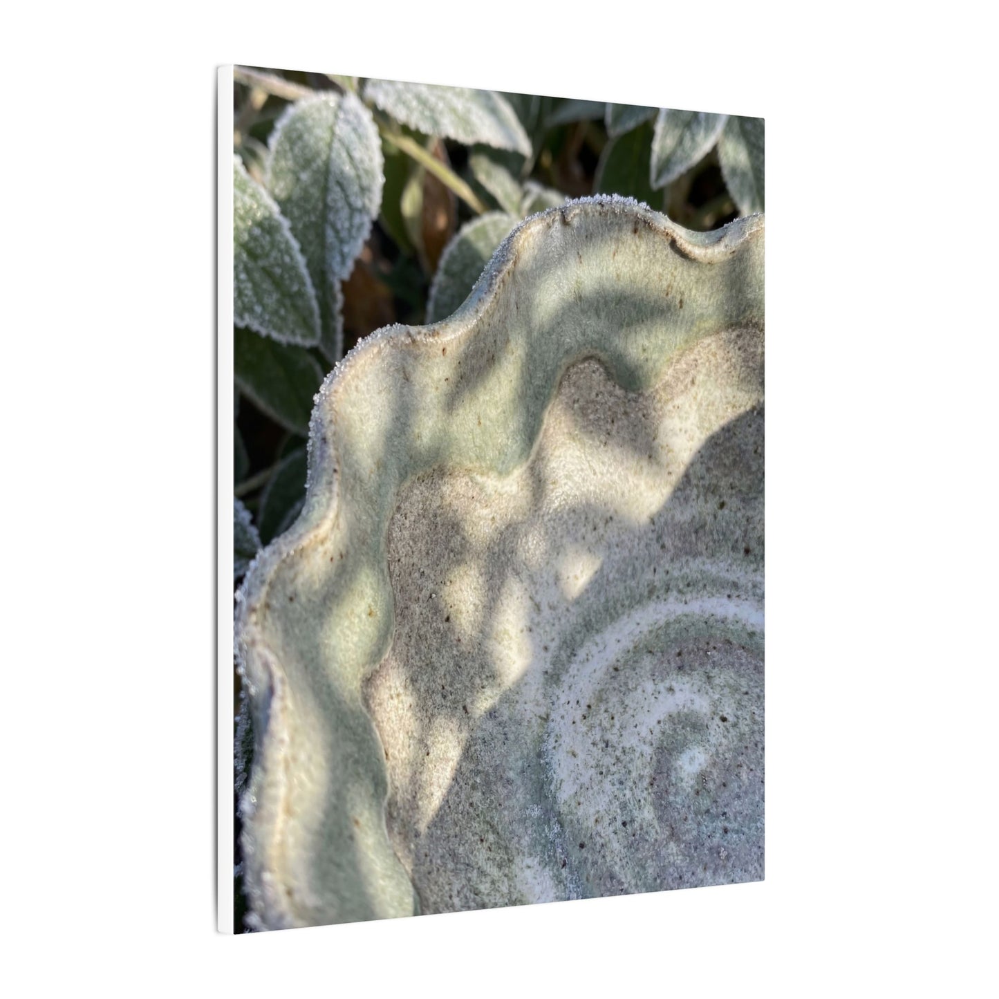 Dappled Ceramic Bowl Canvas Art - Japandi Seijaku