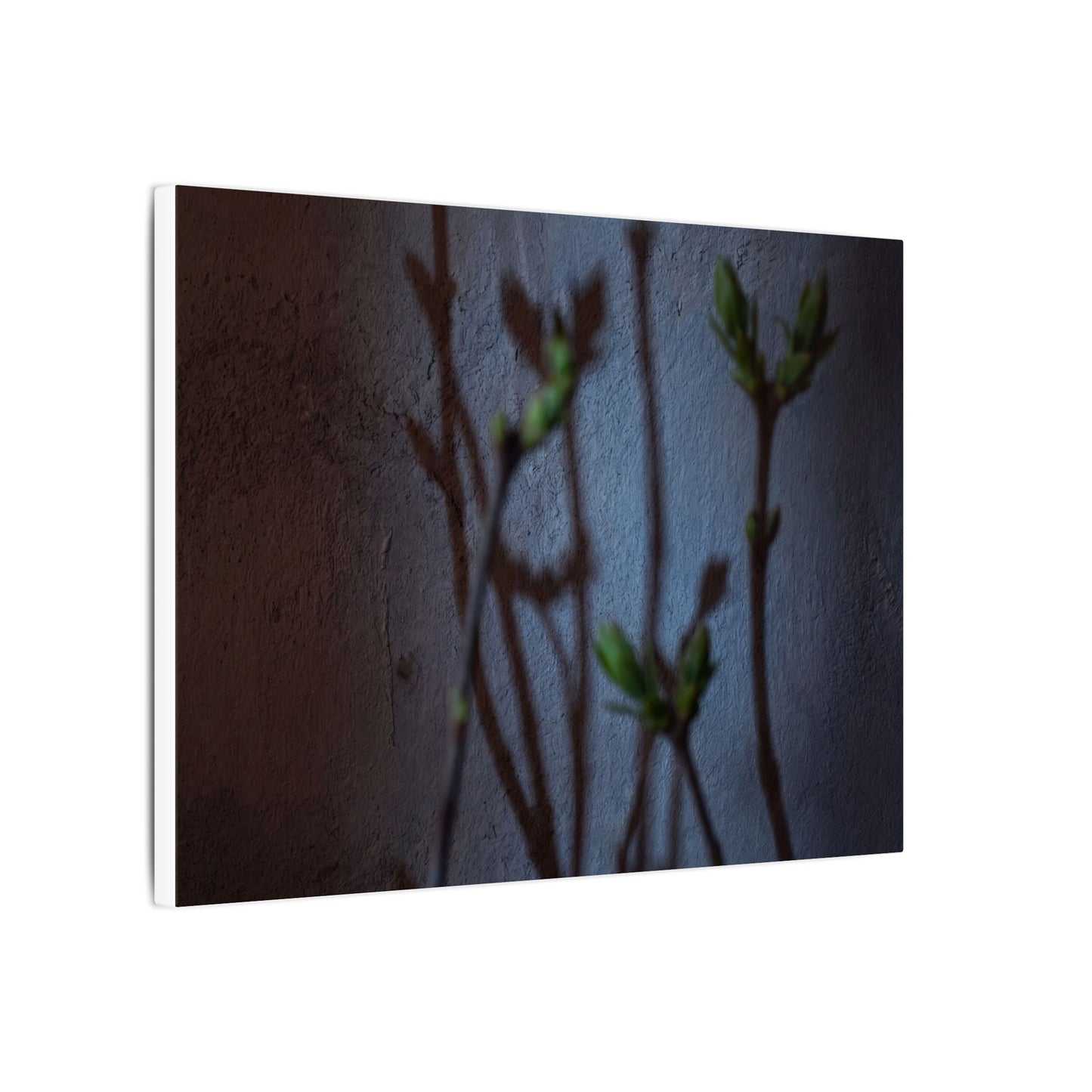 Shadow Play Spring Canvas Art | Dark Japandi Sophisticated Design