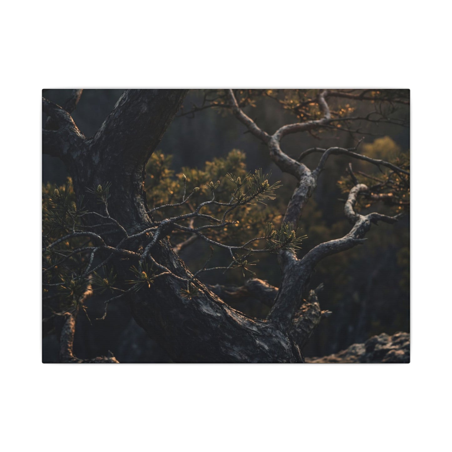Moody Pine Tree Canvas Art - Moody Minimal Dark Japandi Art Print