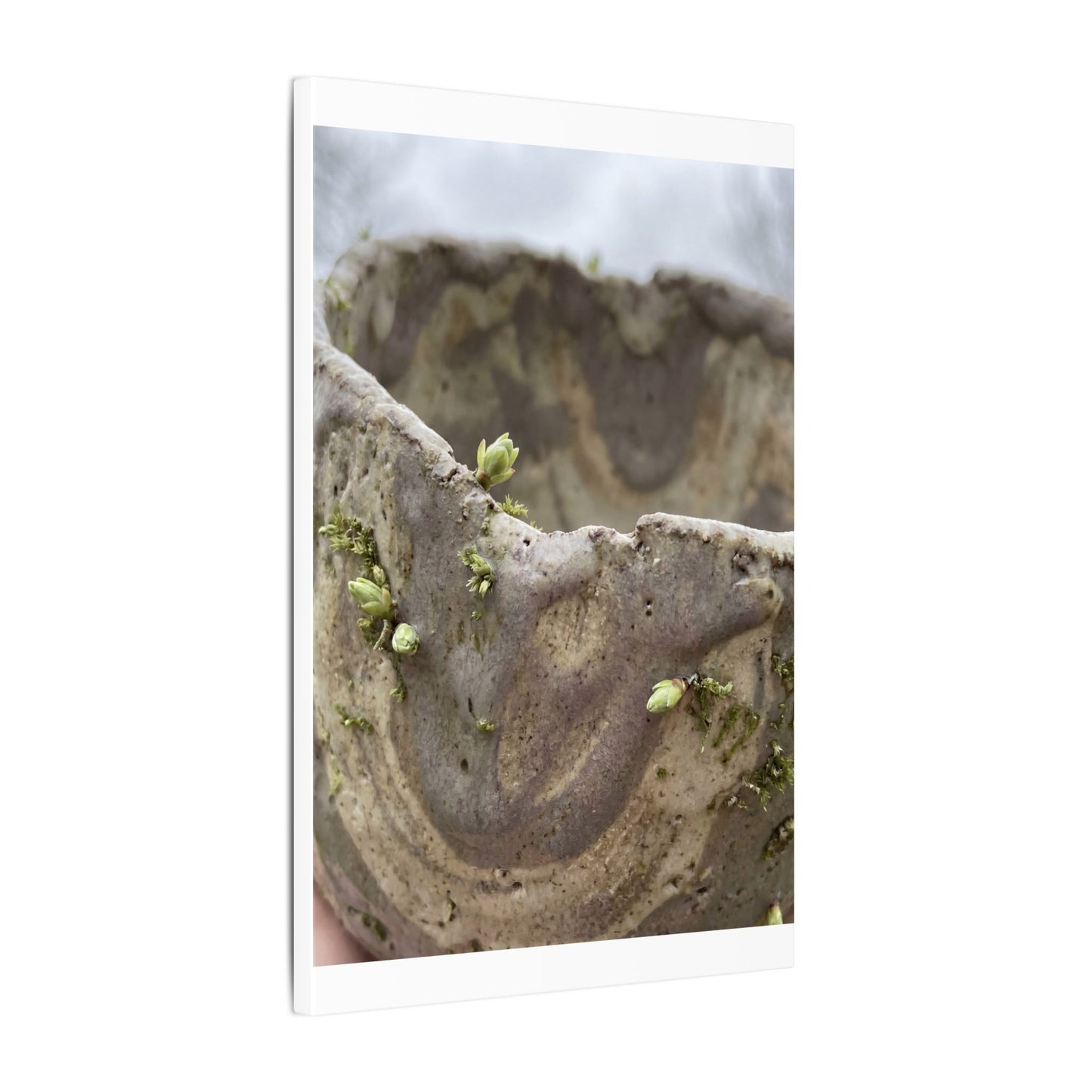 Overcast Ceramic Bowl Canvas Art - Japandi Fukinsei
