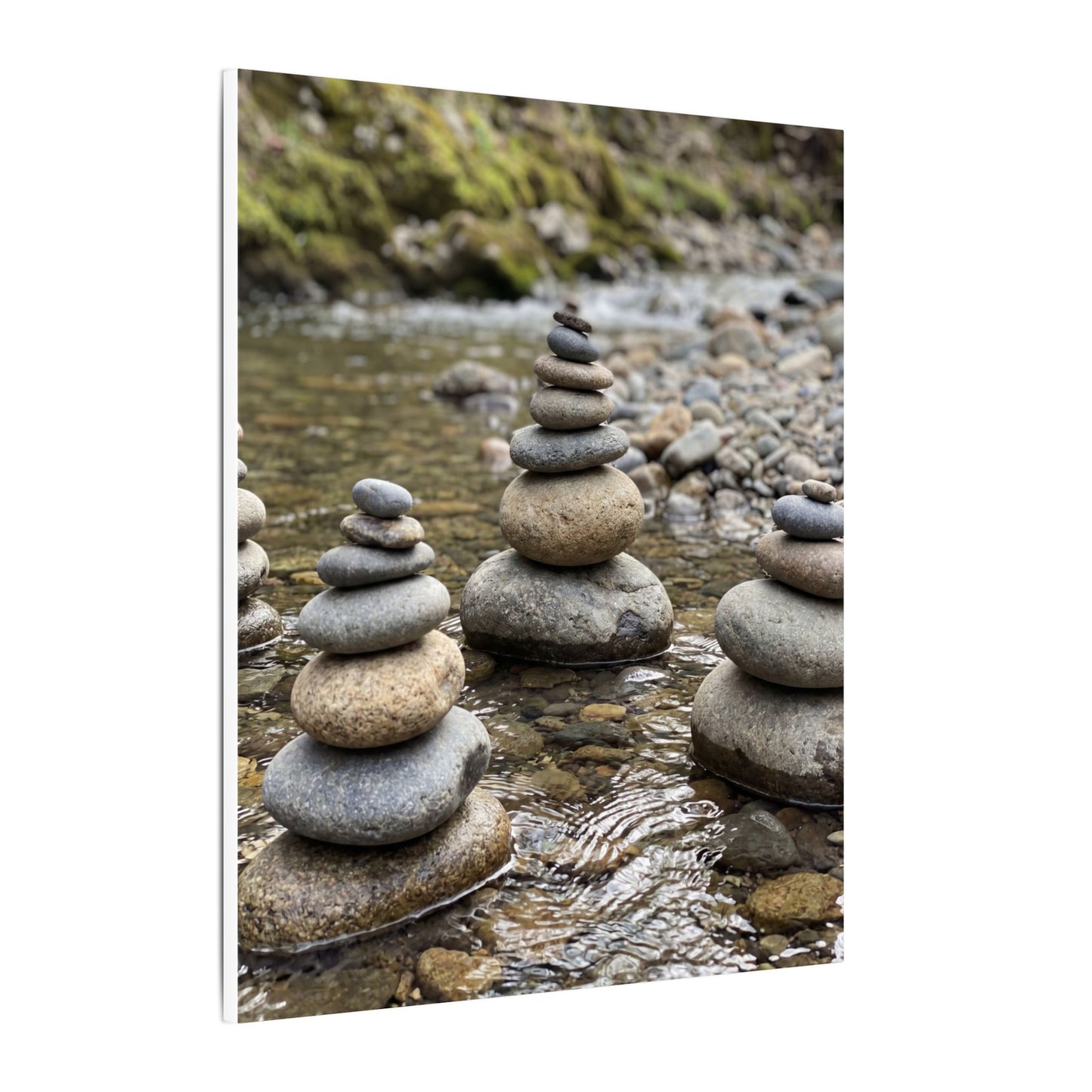 Bamboo Grove Winter Canvas Art | Zen Serene Design
