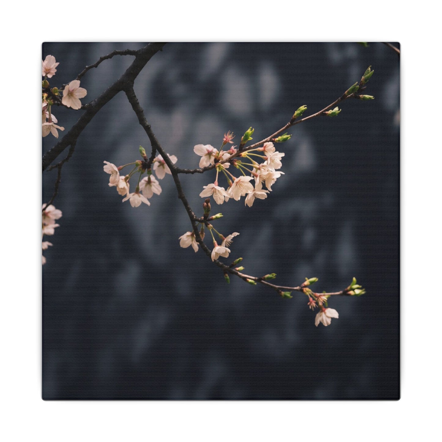 Cherry Blossom Moody Minimal Canvas Art | Bold Dark Japandi Art