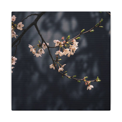 Cherry Blossom Moody Minimal Canvas Art | Bold Dark Japandi Art