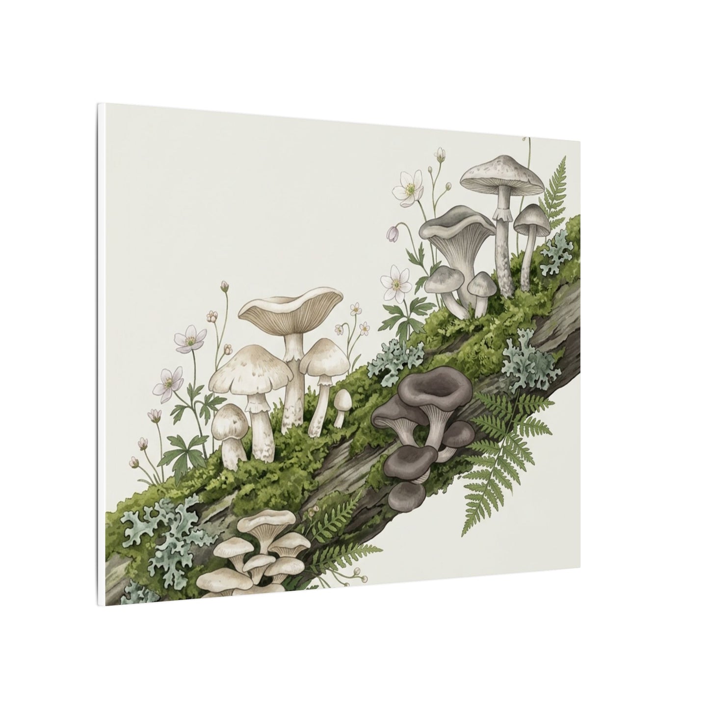 Dried Flowers Spring Canvas Art | Japandi Neutral Design