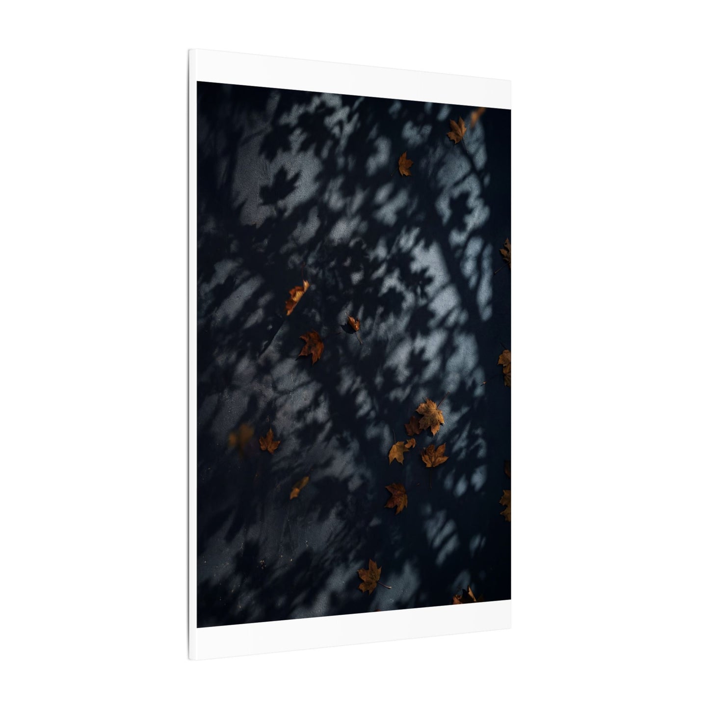 Autumn Shadow Play Shadow Zen Canvas Art | Atmospheric Decor