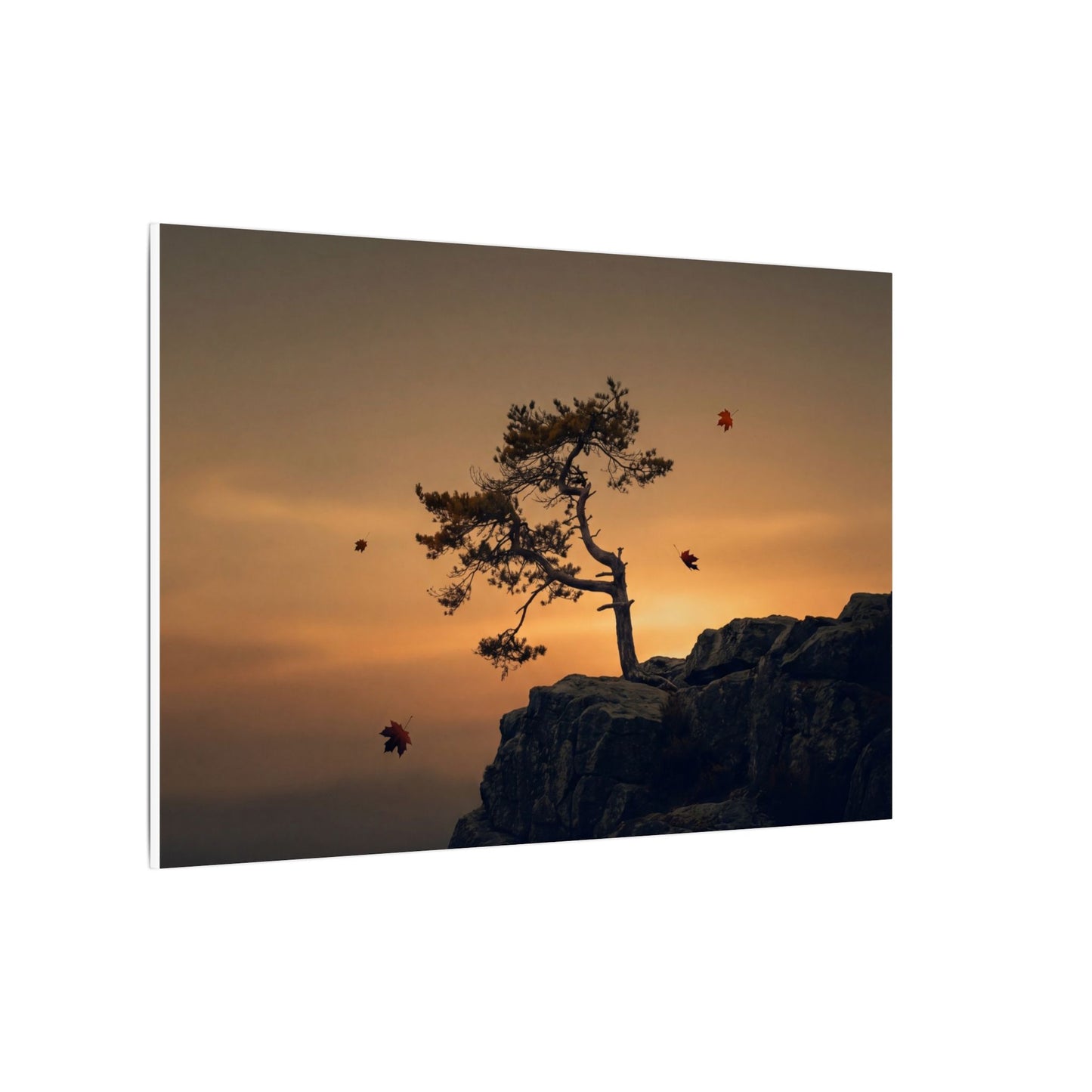 Dark Japandi Pine Tree in Golden Hour | Moody Minimal Canvas Art