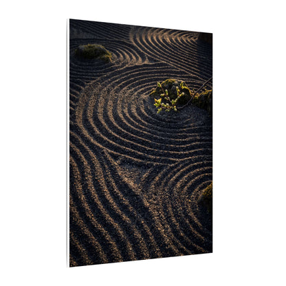 Spring Rock Garden Shadow Zen Canvas Art | Atmospheric Decor