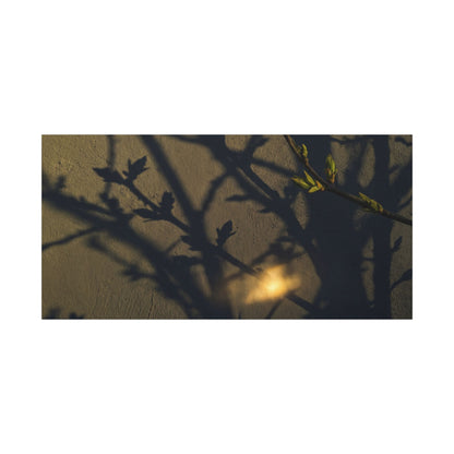 Bold Shadow Play Canvas Art - Moody Minimal Dark Japandi