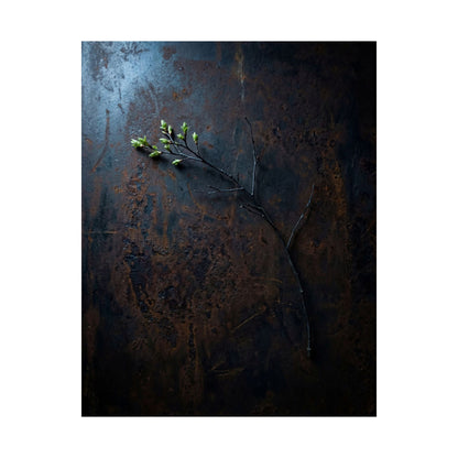 Rust Patina Spring Wall Art Print | Dark Japandi Sophisticated Design
