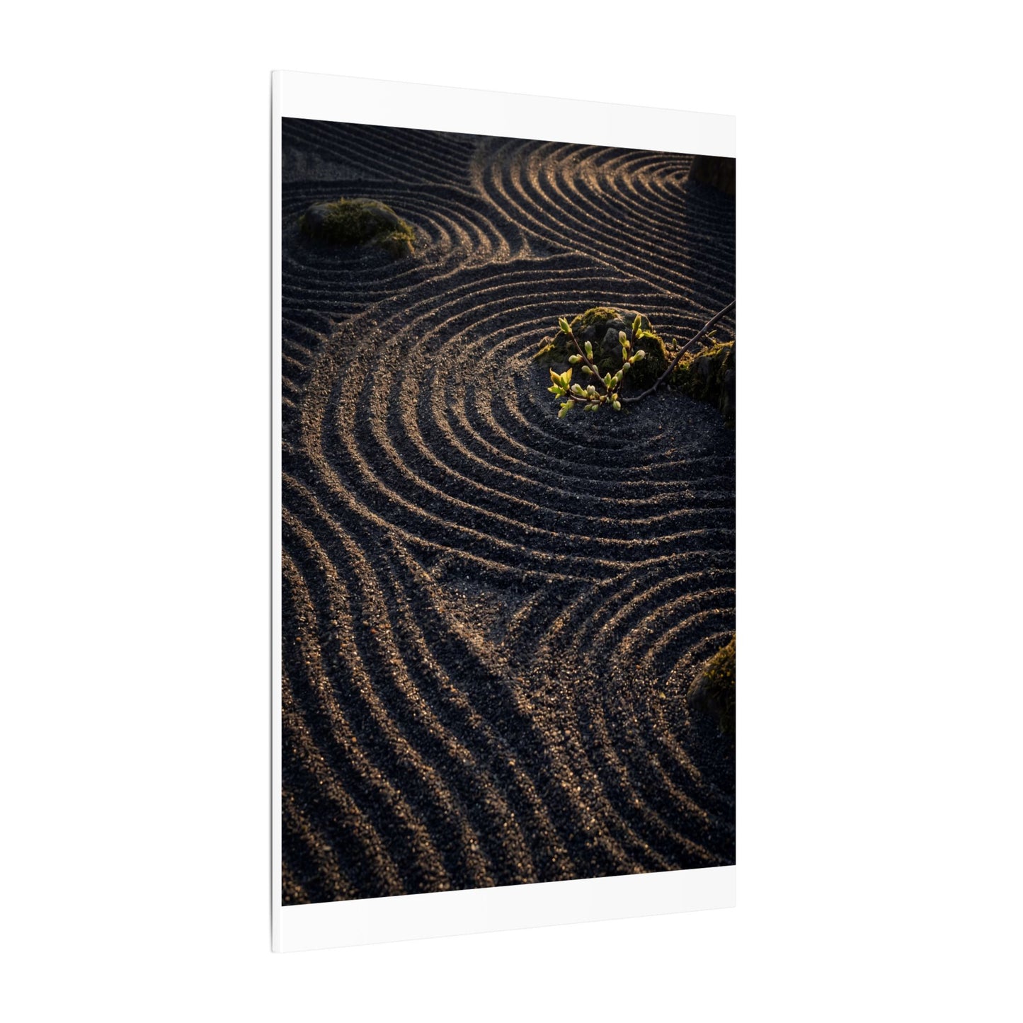 Spring Rock Garden Shadow Zen Canvas Art | Atmospheric Decor