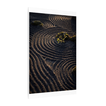 Spring Rock Garden Shadow Zen Canvas Art | Atmospheric Decor