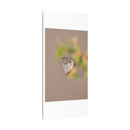 Ceramic Bowl Canvas Art | Spring Japandi Japanese Pattern Art