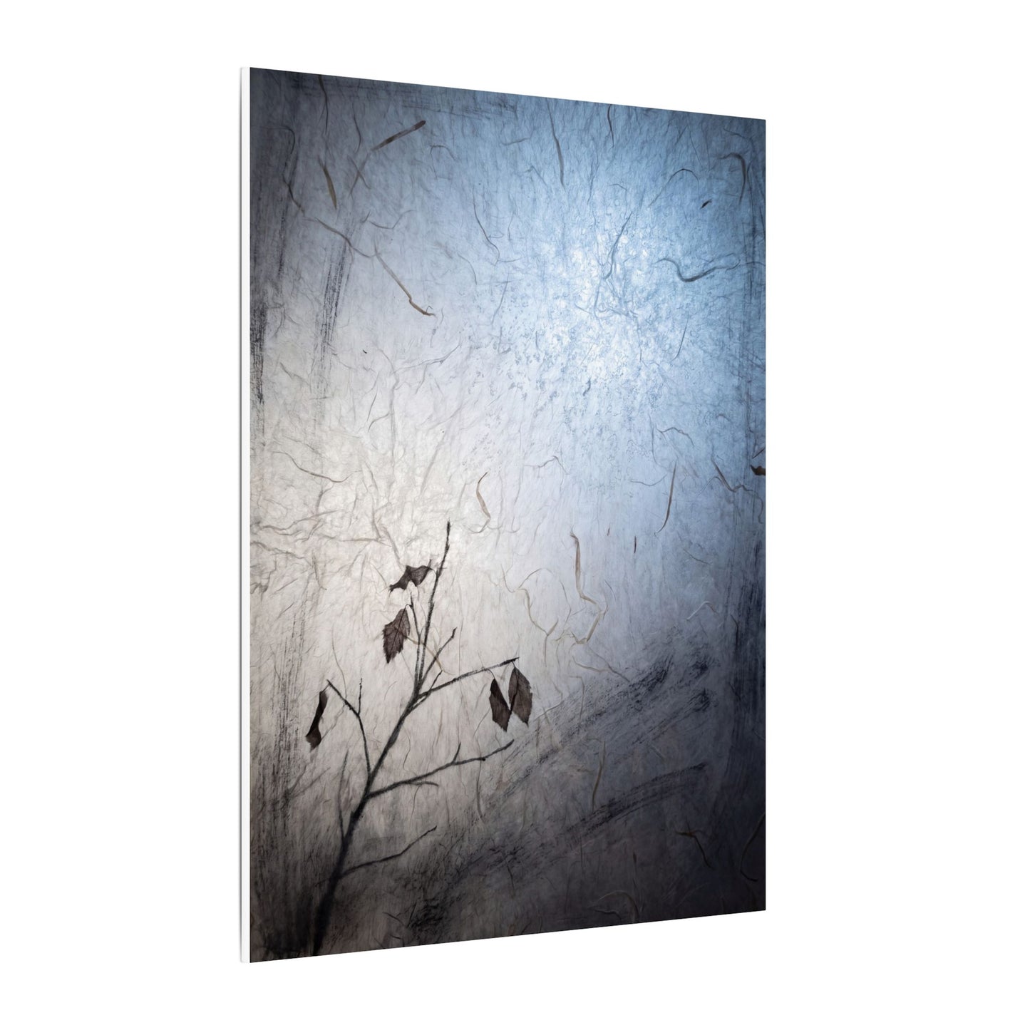 Moonlight Shoji Screen Canvas Art - Japandi Shibui