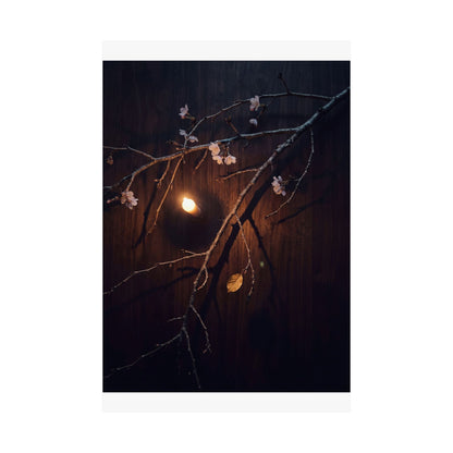 Sophisticated Cherry Blossom Wall Art Print - Moody Minimal Dark Japandi