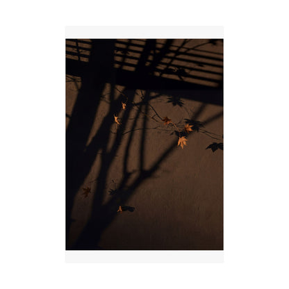 Autumn Shadow Play Shadow Zen Wall Art Print | Sophisticated Decor
