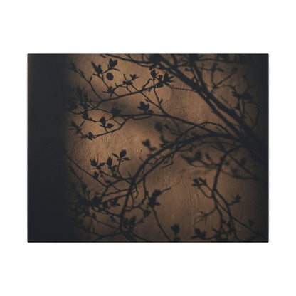 Dark Japandi Shadow Play in Golden Hour | Shadow Zen Canvas Art Art Print