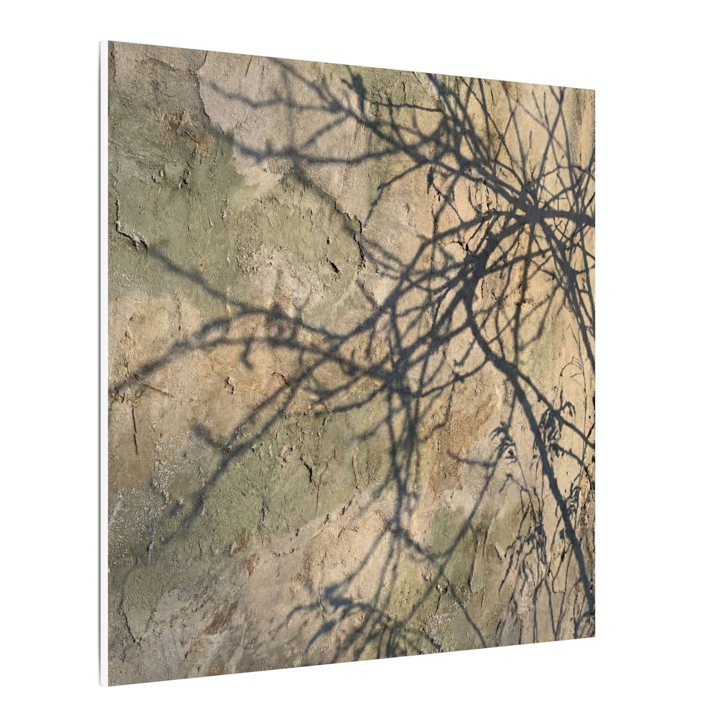 Japandi Shadow Play in Golden Hour | Texture Canvas Art