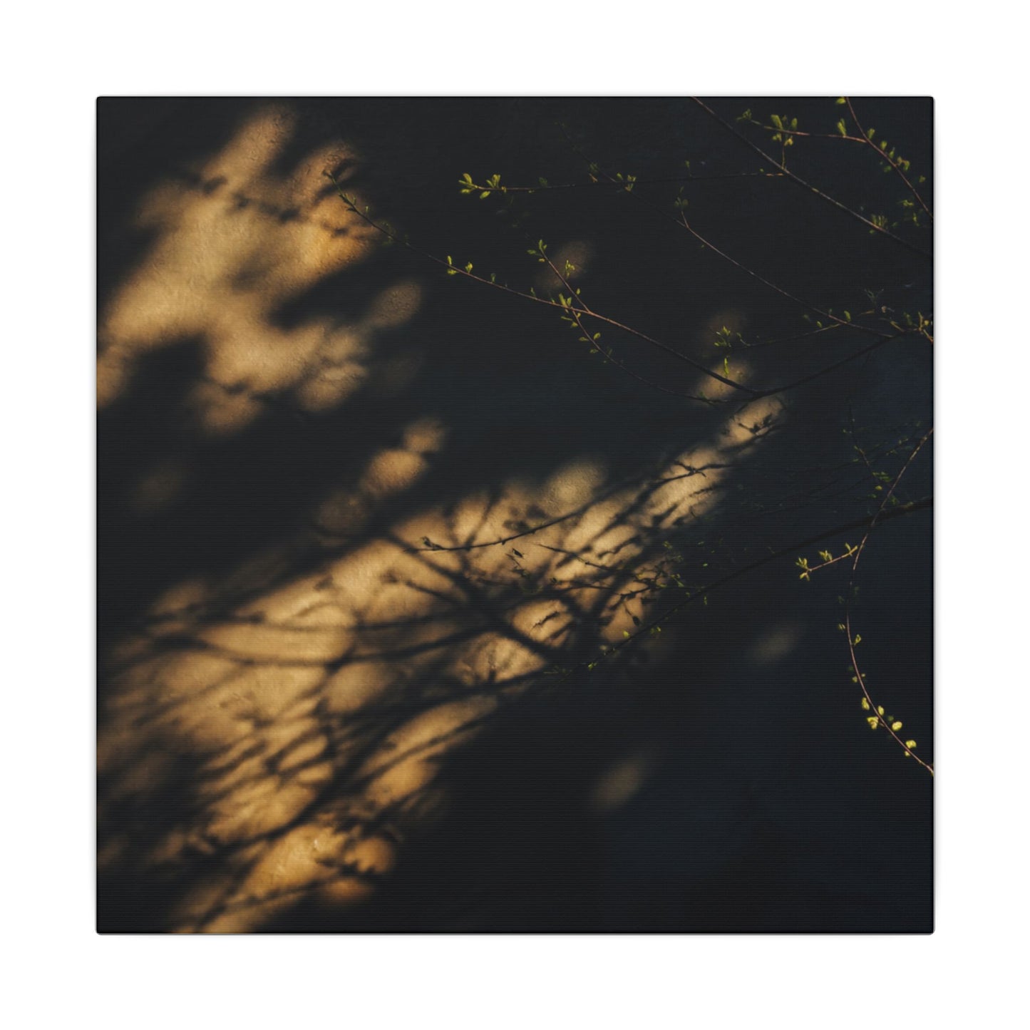 Moody Shadow Play Canvas Art - Moody Minimal Dark Japandi