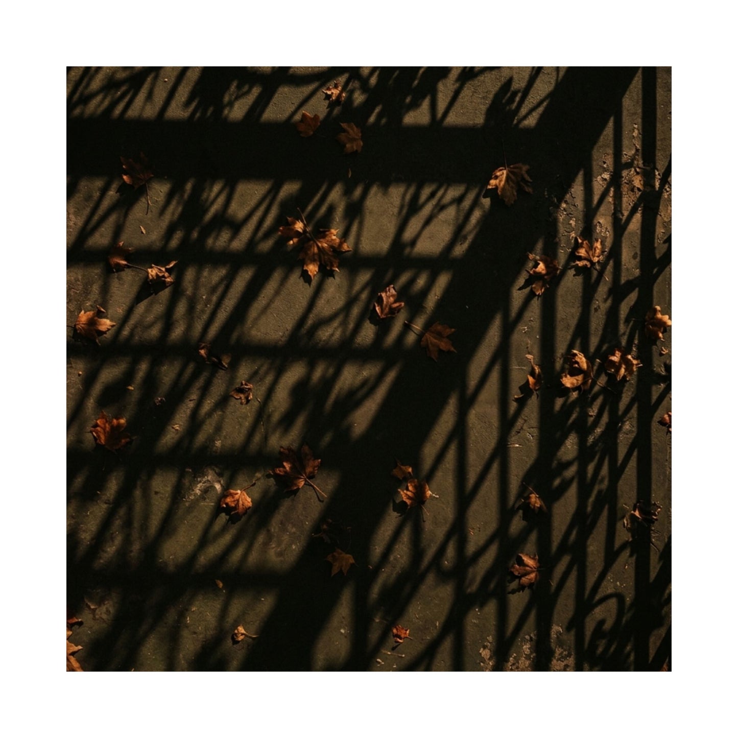 Kanso Shadow Play Wall Art Print - Dark Japandi Moody Minimal