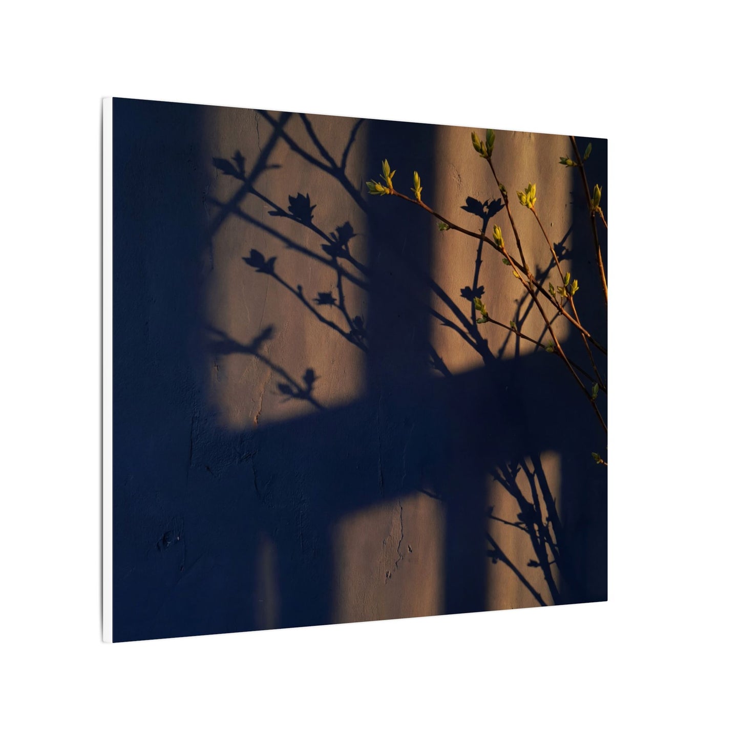 Shadow Play Canvas Art | Spring Dark Japandi Shadow Zen Art