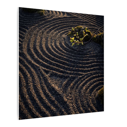 Spring Rock Garden Shadow Zen Canvas Art | Atmospheric Decor