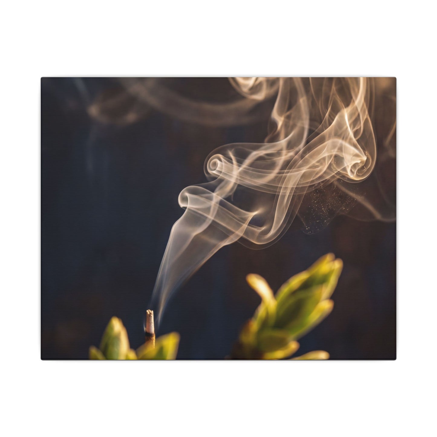Incense Smoke Spring Canvas Art | Dark Japandi Atmospheric Design
