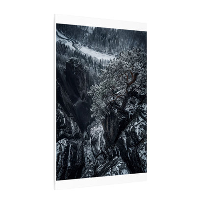 Dark Japandi Pine Tree in Dappled | Dark Texture Canvas Art