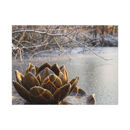 Lotus Flower Gold Repair Canvas Art | Beautiful Kintsugi Art Art Print