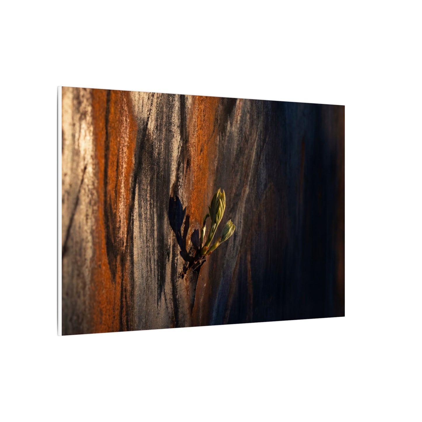 Rust Patina Charcoal Ink Canvas Art | Moody Dark Japandi Art