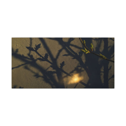 Bold Shadow Play Canvas Art - Moody Minimal Dark Japandi