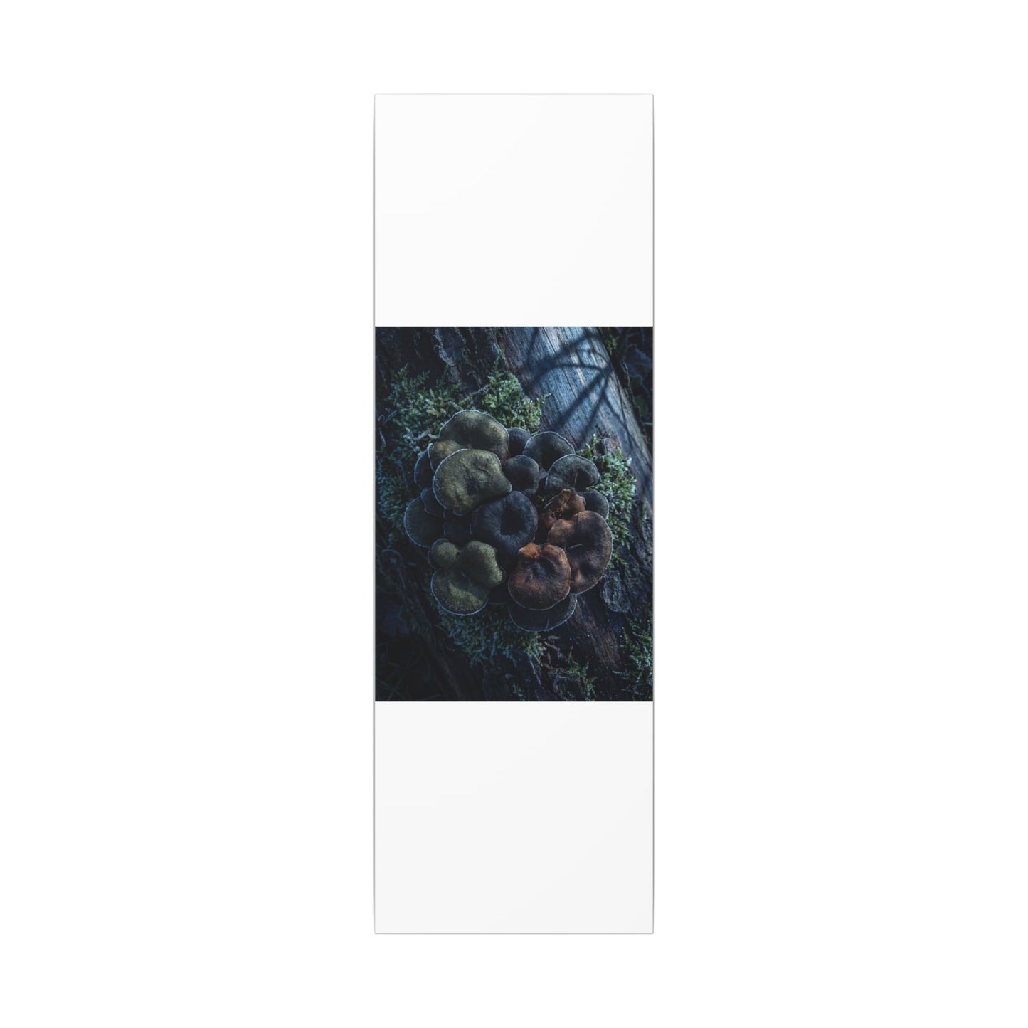 Wild Mushrooms Moody Minimal Canvas Art | Moody Dark Japandi Art