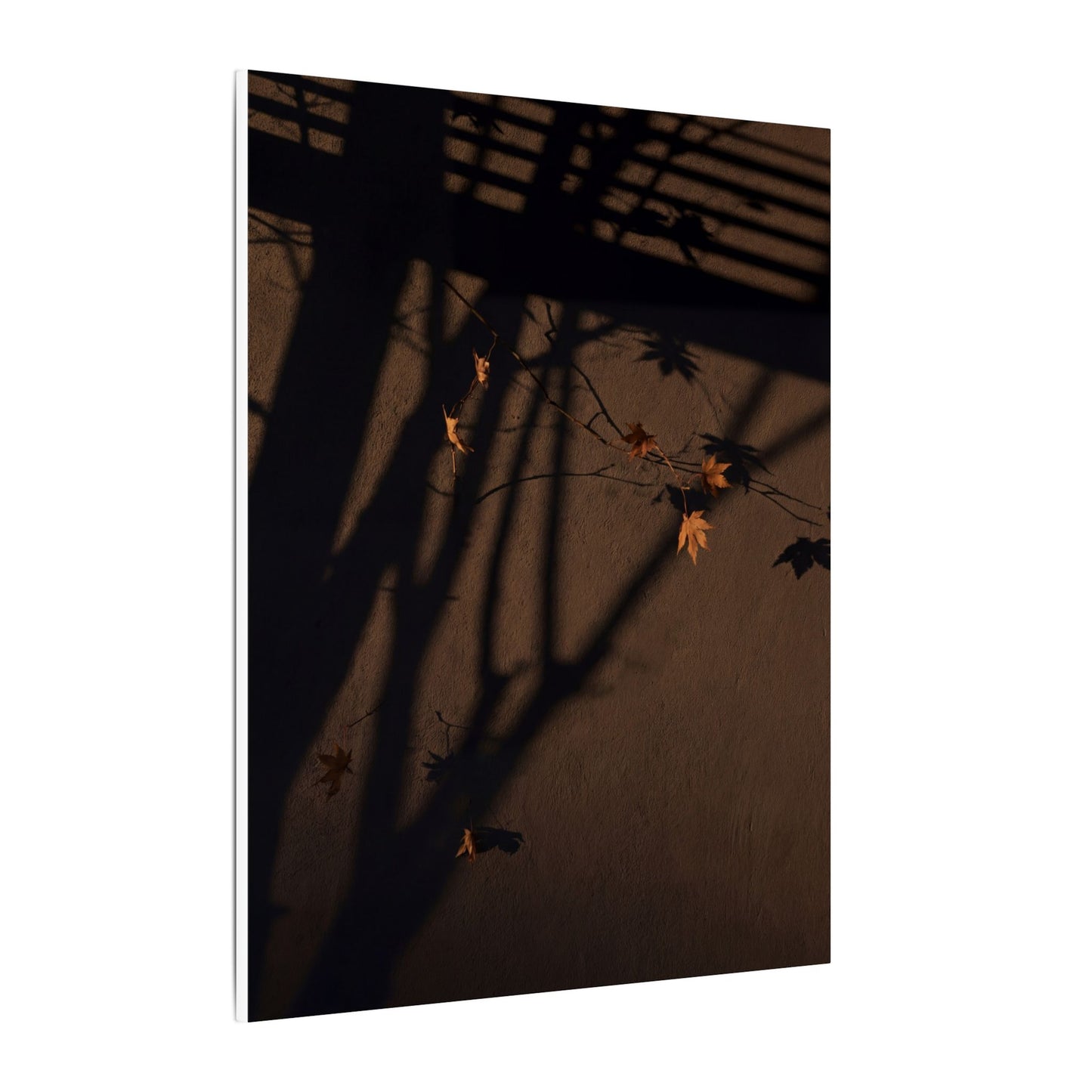 Shadow Play Autumn Canvas Art | Dark Japandi Luxurious Design
