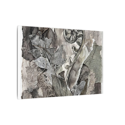 Japandi Fern Unfurling in Overcast | Texture Canvas Art