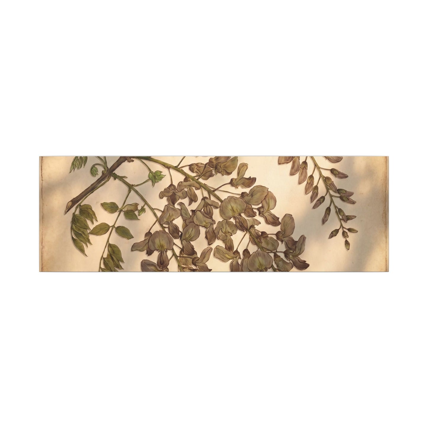Spring Wisteria Herbarium Canvas Art | Earthy Decor