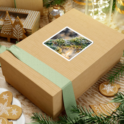 Japandi Moss Close Up in Candlelight | Watercolor Sticker