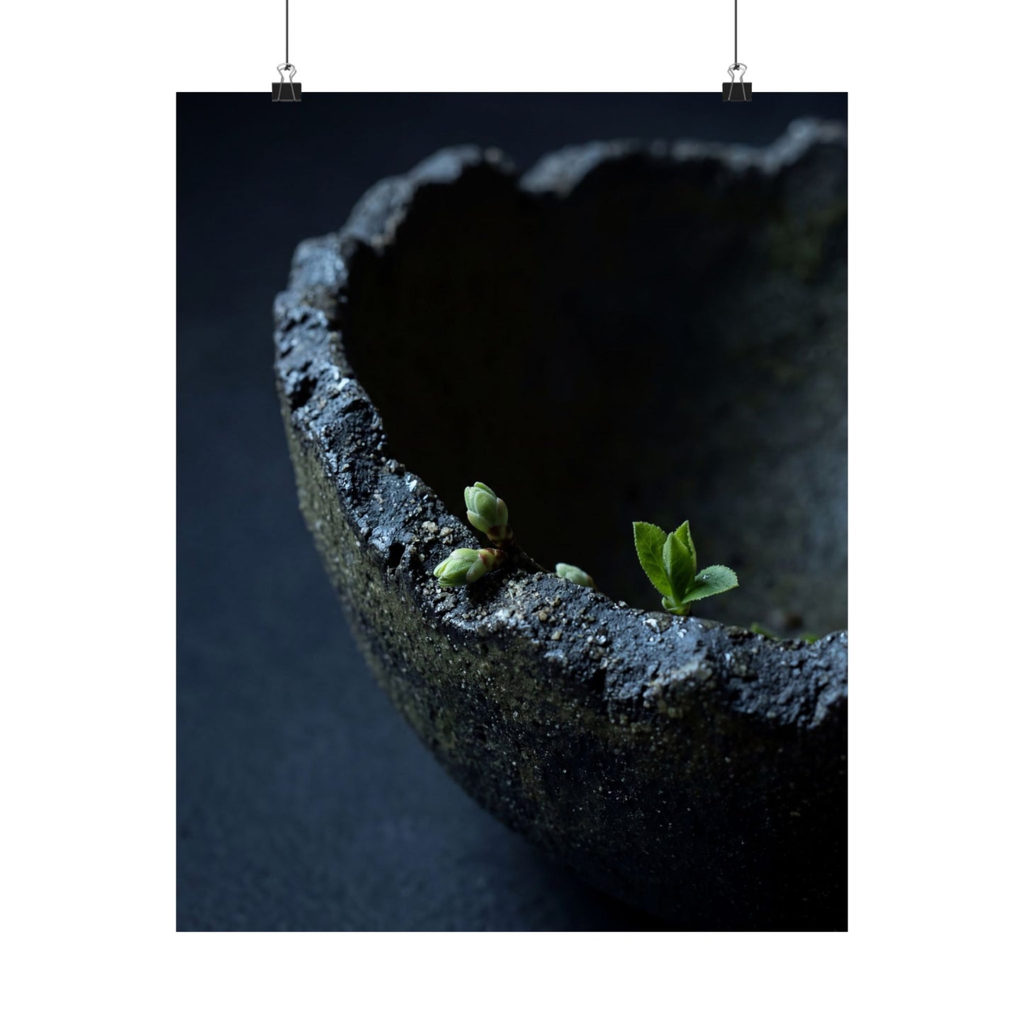 Ceramic Bowl Wall Art Print | Spring Dark Japandi Moody Minimal Art Art Print