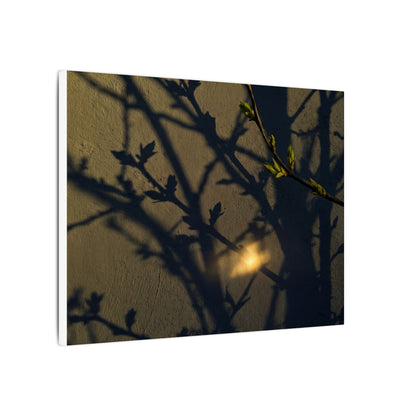 Bold Shadow Play Canvas Art - Moody Minimal Dark Japandi