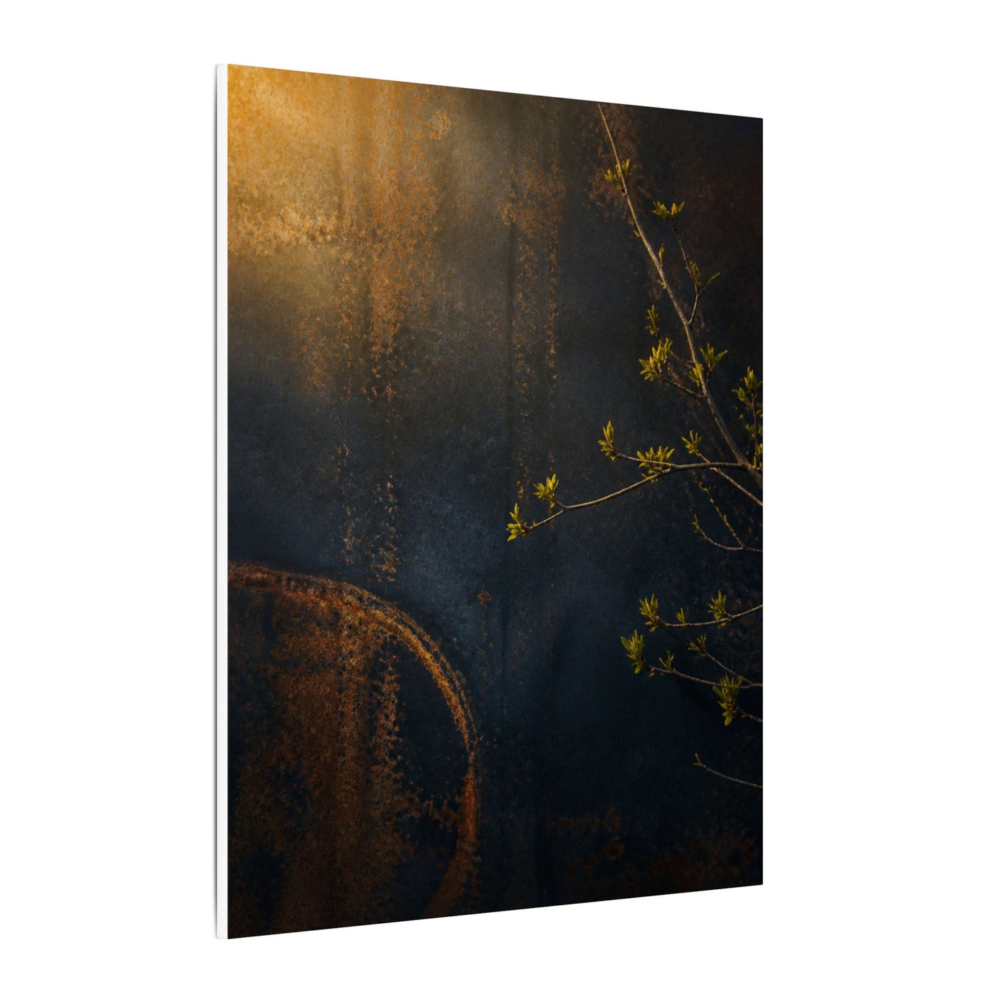 Spring Rust Patina Dark Texture Canvas Art | Moody Decor