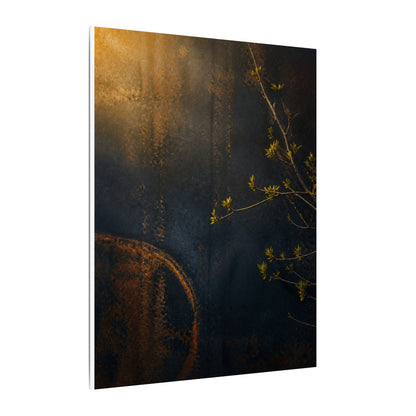 Spring Rust Patina Dark Texture Canvas Art | Moody Decor