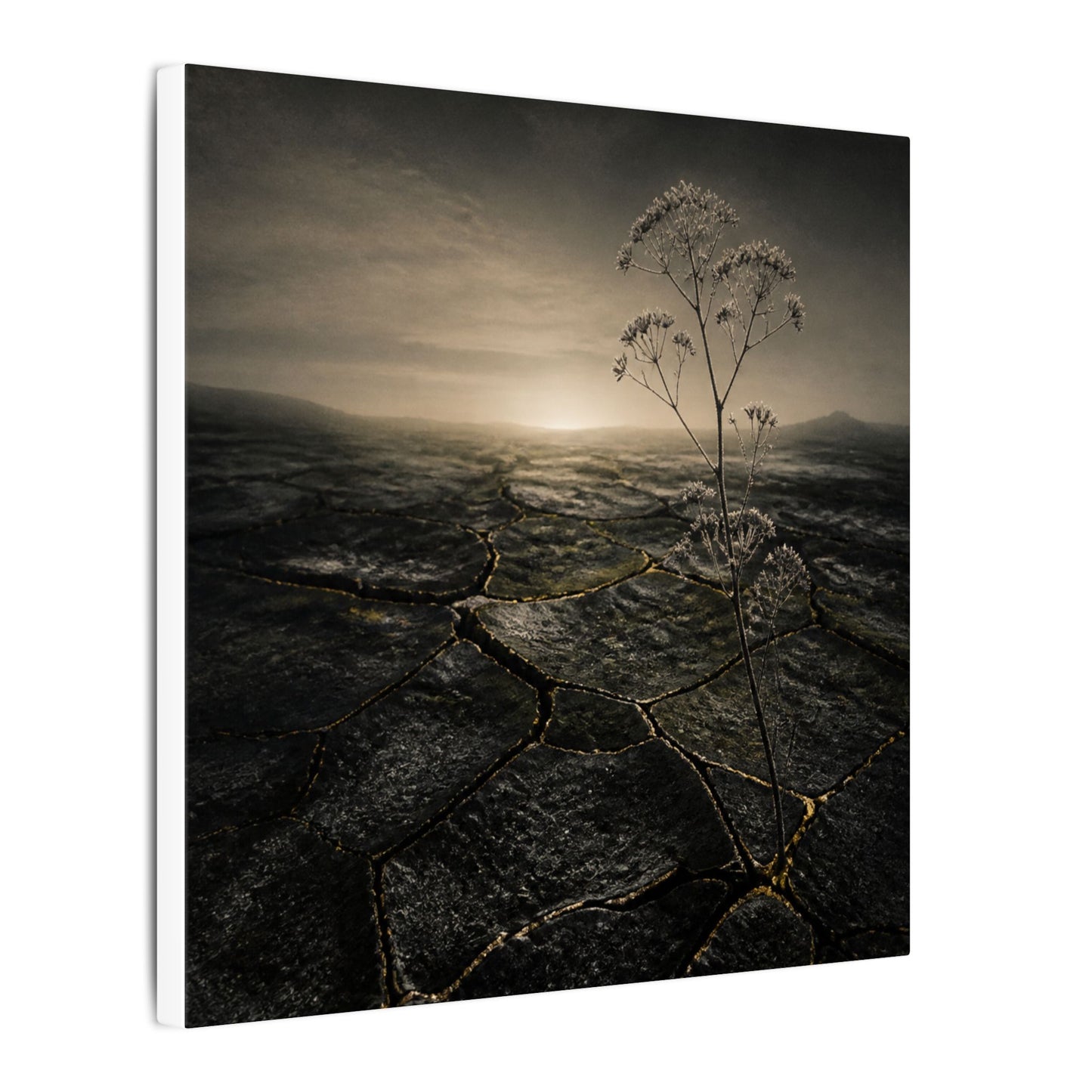 Dawn Cracked Earth Canvas Art - Dark Japandi Mono No Aware