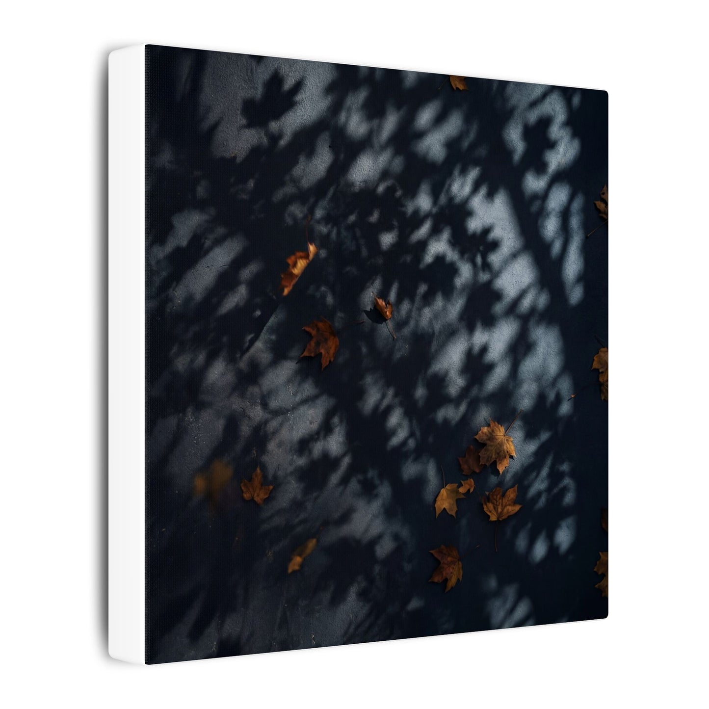 Autumn Shadow Play Shadow Zen Canvas Art | Atmospheric Decor